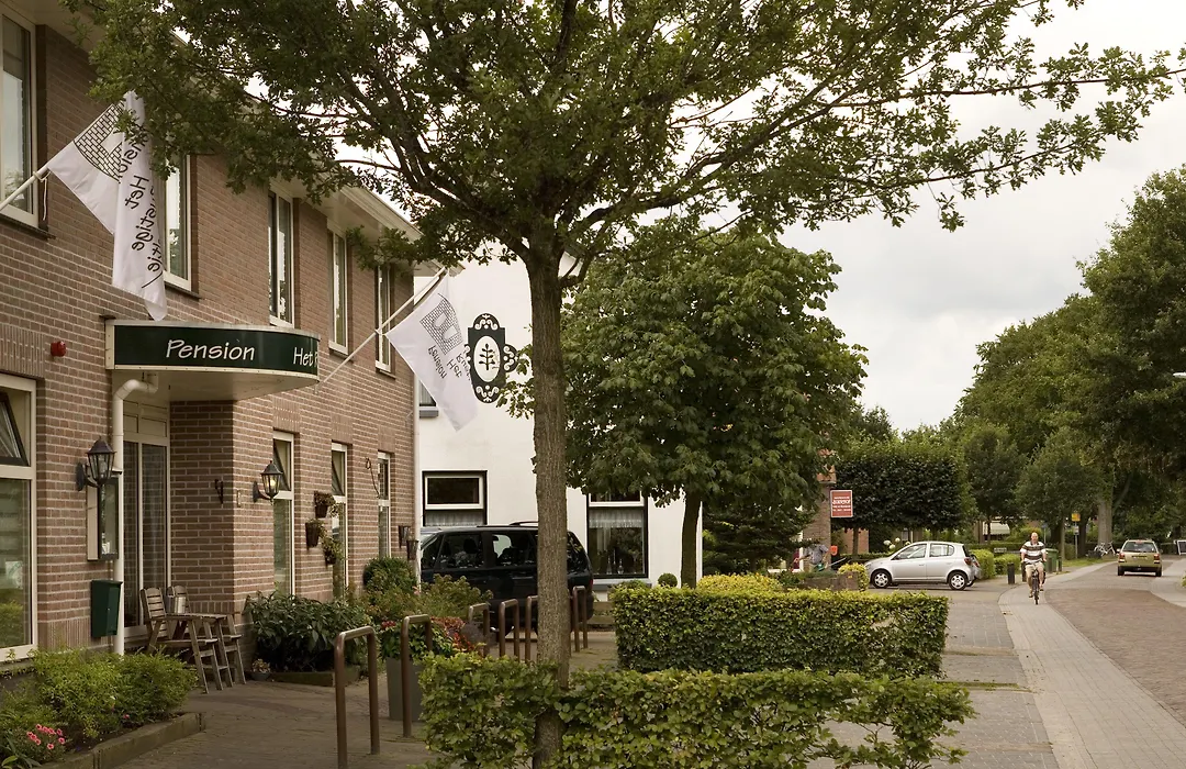 B&B de Ster van Dwingeloo-1